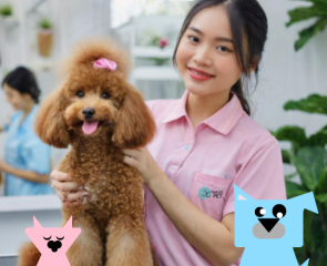 DooLeePET ĐỊA ĐIỂM CẮT TỈA, LÀM ĐẸP CHO CHÓ MÈO HÀNG ĐẦU TẠI TÂY NINH