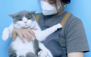 Dog&Cat – Pet Spa & Khách sạn thú cưng Tây Ninh