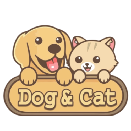 Dog&Cat – Pet Spa & Khách sạn thú cưng Tây Ninh